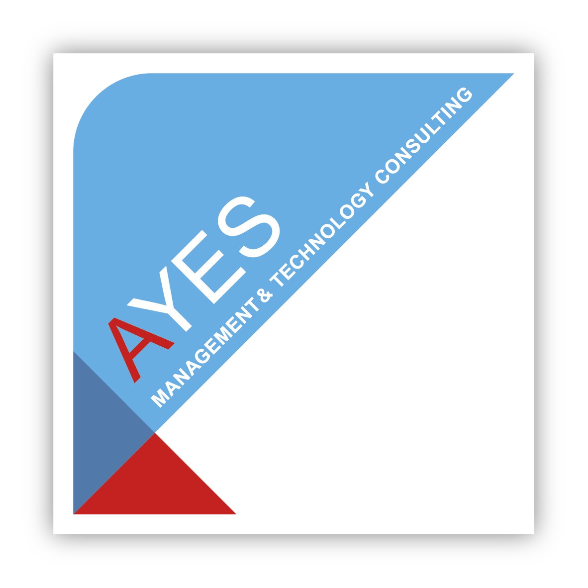 LOGO AYES 