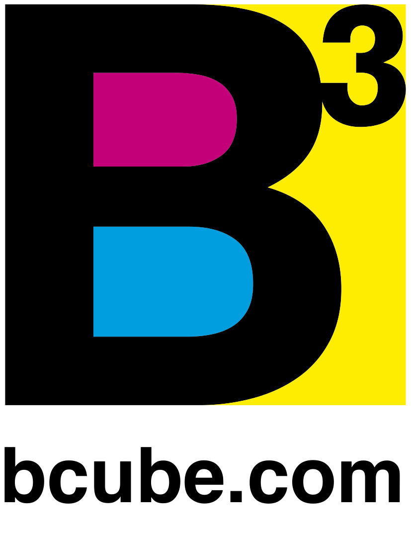 Logo BCUBE_jpeg - eleonora ferraris
